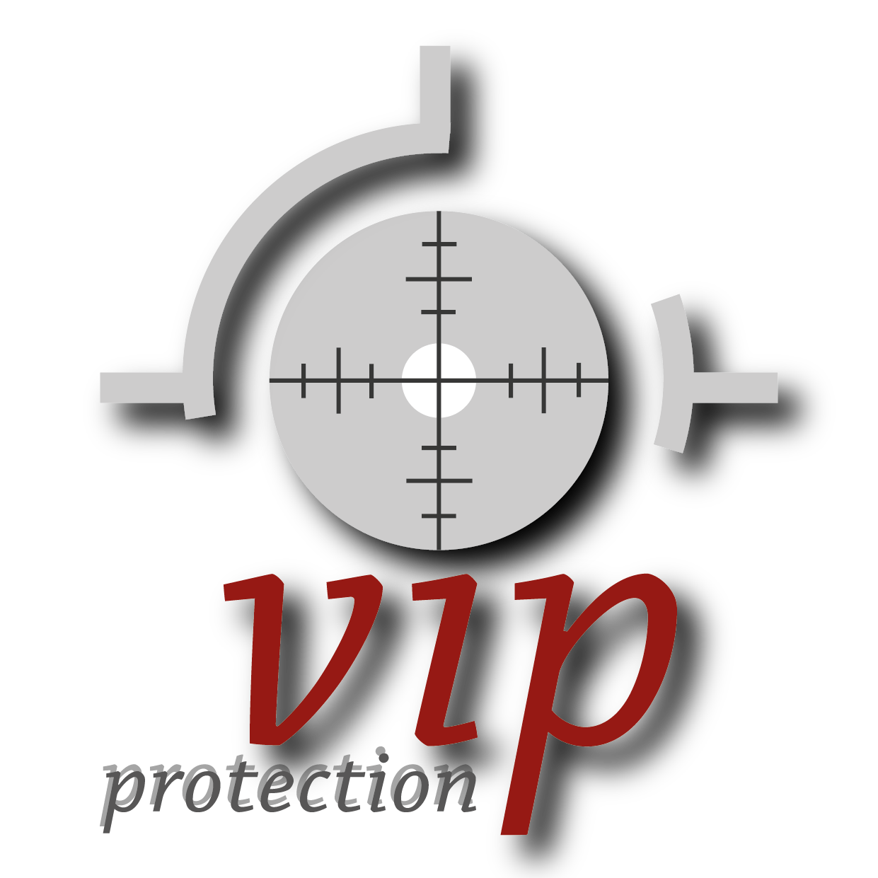 Logo VIP Protection